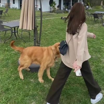 点亮灯光